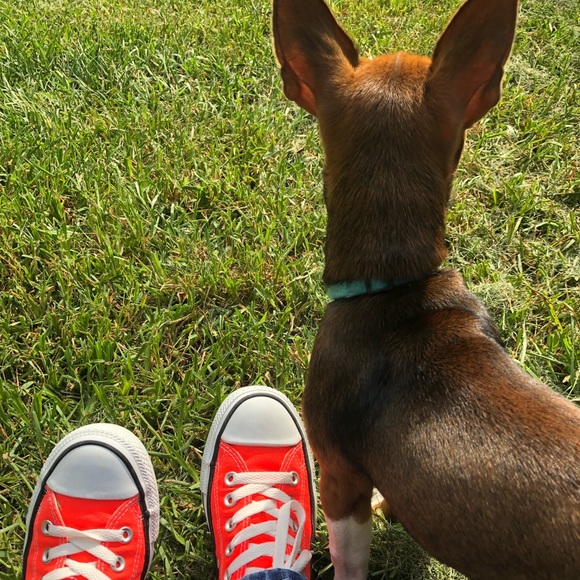 Meet your Posher, Patricia - Picture 3 of 4